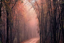 遗憾！王钰栋独造2球后惨遭踩脚踝+被抬出场 网友怒骂33岁肇事者.